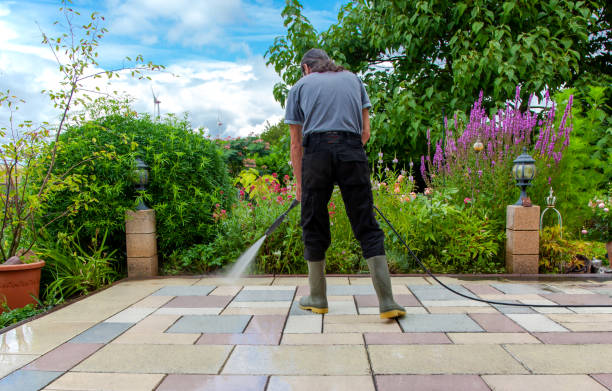 Best Residential Pressure Washing in Headland, AL